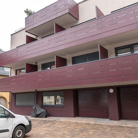 Apartmenthaus Schlossgasse Некарзулм Екстериор снимка